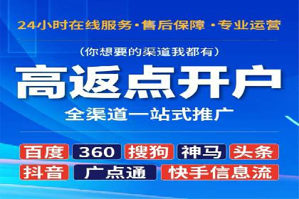 经典案例：SEM代运营服务公司的成功之路